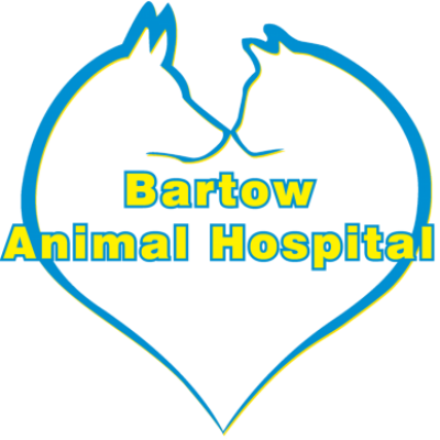 Group logo of Reception BAH
