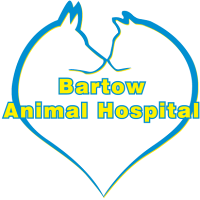 Group logo of Kennel BAH